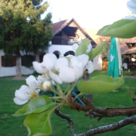 Guest house Szep Tanya